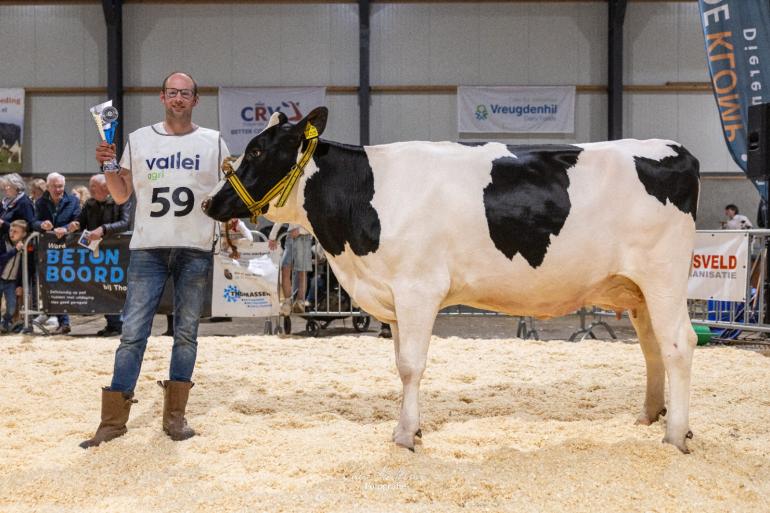Neeltje 455 (v. Bisor) won de vaarzentitel (foto: Cilia Hoekman)