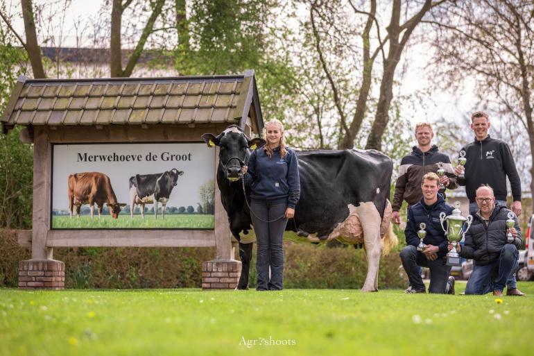 Het winnende team van Friesland met staand Jilles Jan Kooistra en Bas Koopstra, zittend Rein Vernooij en Jaap van Dooren (foto: Agrishoots)