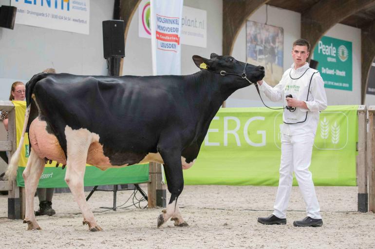 Jeans Maaike 577 (v. Adorable) wint middenklasse (foto: Teus van Herk/Koeienfoto’s.nl)
