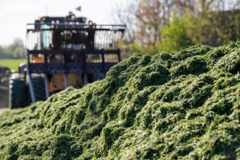 De Weideman zou op een grasbedrijf gaan voor een ruweiwitgehalte in de kuil van 140 gram per kilo droge stof