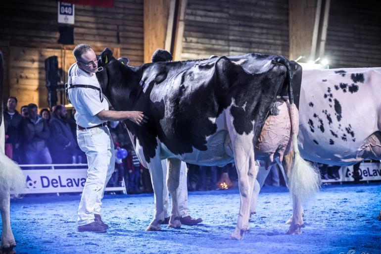 In 2025 won Gentiane de Zwitserse nationale titel (foto: Guillaume Moy)