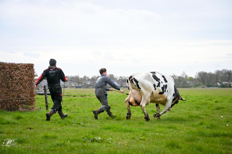 Dat de 15-jarige Hiawatha haar benen nog heel krachtig gebruikt, ervaarden vader Harold en zoon Finn Gijmink aan den lijve.
