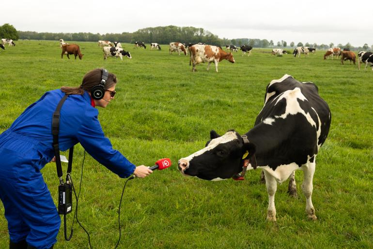Dj Marieke Elsinga vraagt een koe om mee te helpen zoeken (beeld: QMusic)