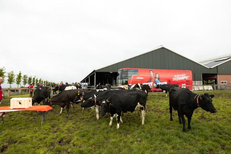 Radiozender QMusic werd voor de gelegenheid tijdelijk omgedoopt tot KoeMusic (beeld: QMusic)
