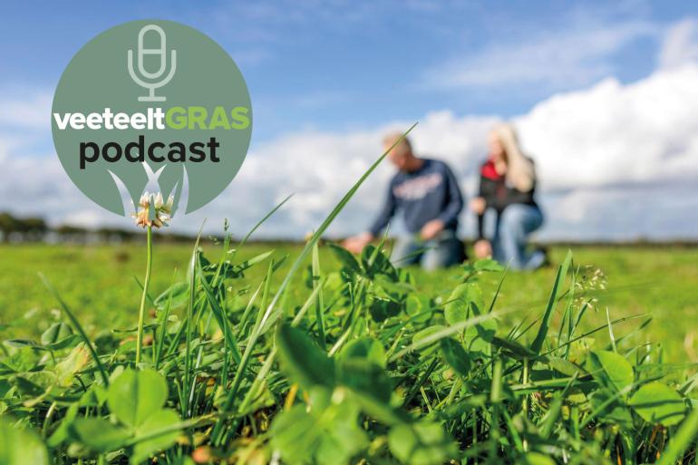 Kruidenrijk grasland is gebaat bij een maairegime van elke vier weken