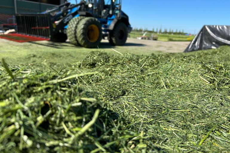 In het Noorden wordt deze week nog veel gras gemaaid en ingekuild