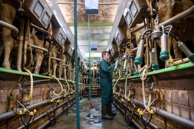 Een grote melkstal verwerkt simpelweg meer kilo's melk per gewerkt uur