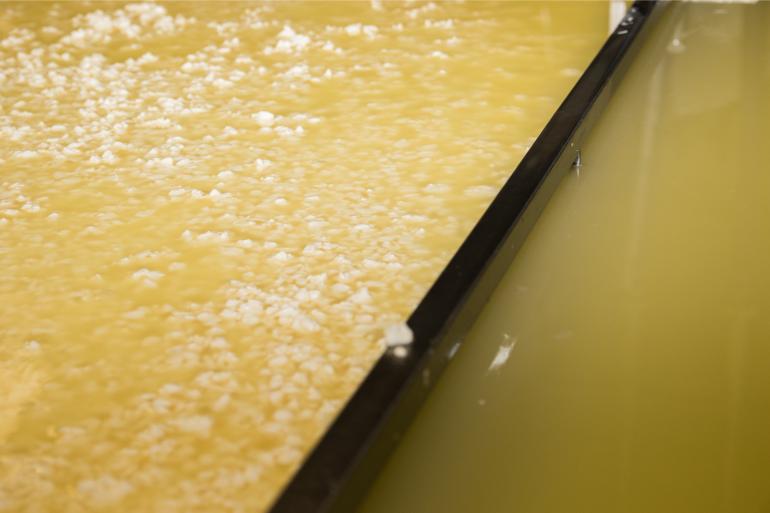 Van een bijproduct van de kaasproductie is wei steeds verder opgewaardeerd naar een strategisch ingrediënt voor de voedingsindustrie