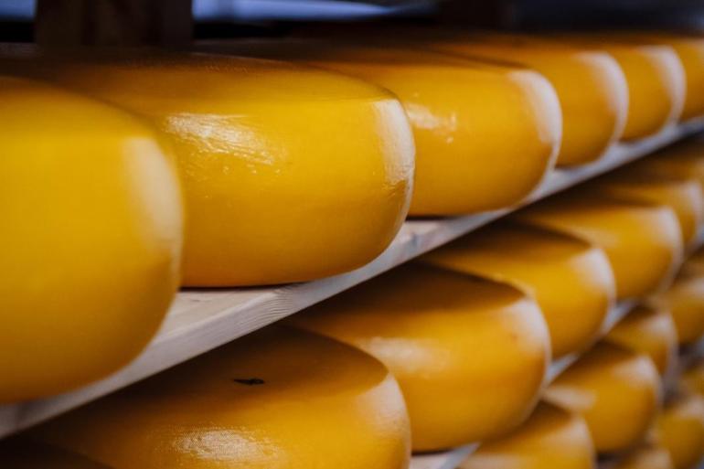 Mozzarella had in 2025 met 62 procent en 90.131 kg het grootste aandeel in de Belgische kaasproductie