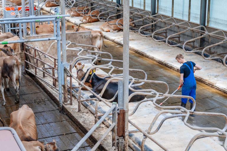 De stemmingsindex – hoe veehouders zich nu voelen – is nog wel iets gedaald ten opzichte van vorig kwartaal