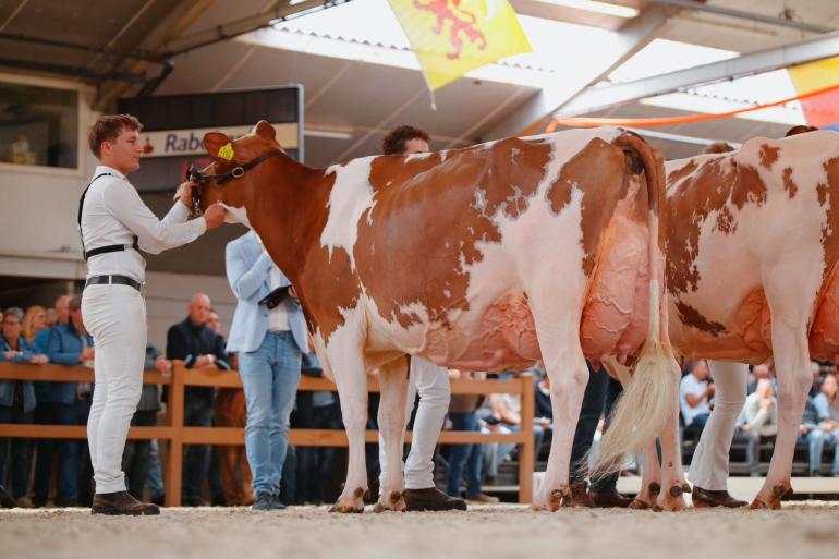 Bossink Joke 78 kreeg 93 punten voor alle onderdelen, zowel voor frame en type als voor uier en beenwerk (foto: Floor Schut)
