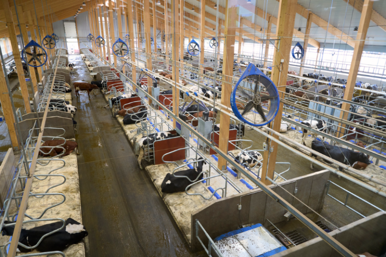 Bovenaanzicht VMS-stal op DeLaval's Hamra Farm in Zweden