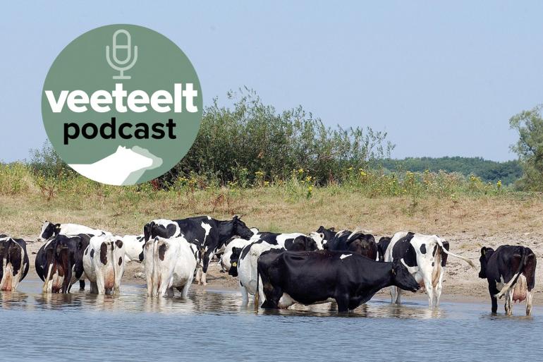 Klimaatverandering werkt door in ieder facet van het boerenbedrijf