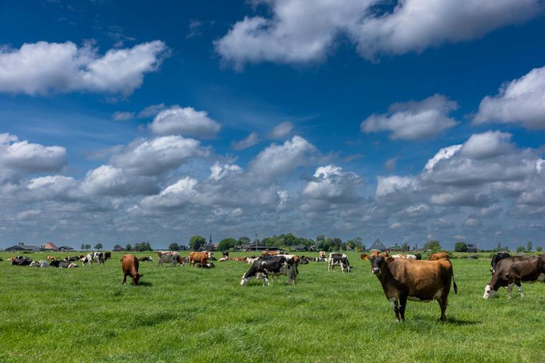 De extra eis van 85 procent gras in het areaal raakt het inkomen van boeren volgens Lubbert van Dellen enorm hard