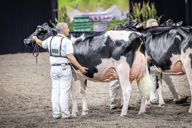 Sadie veroverde in Madison de titel bij de jonge koeien (foto: Guillaume Moy) 
