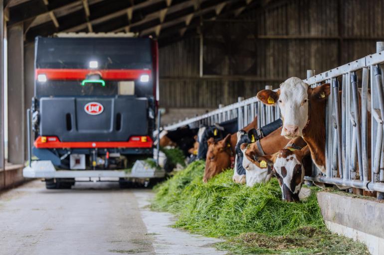 Dagelijks worden er negen wagens gras gelost in de stal