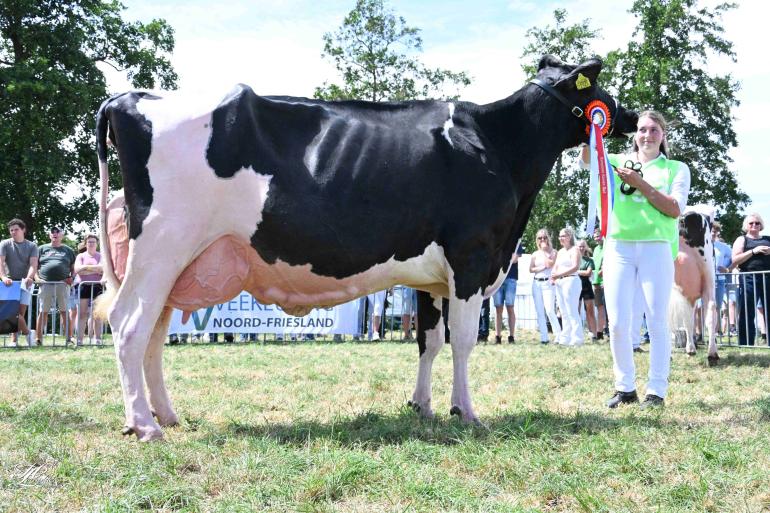 Topcross Janice (v. Charityman) wint in Wouterswoude