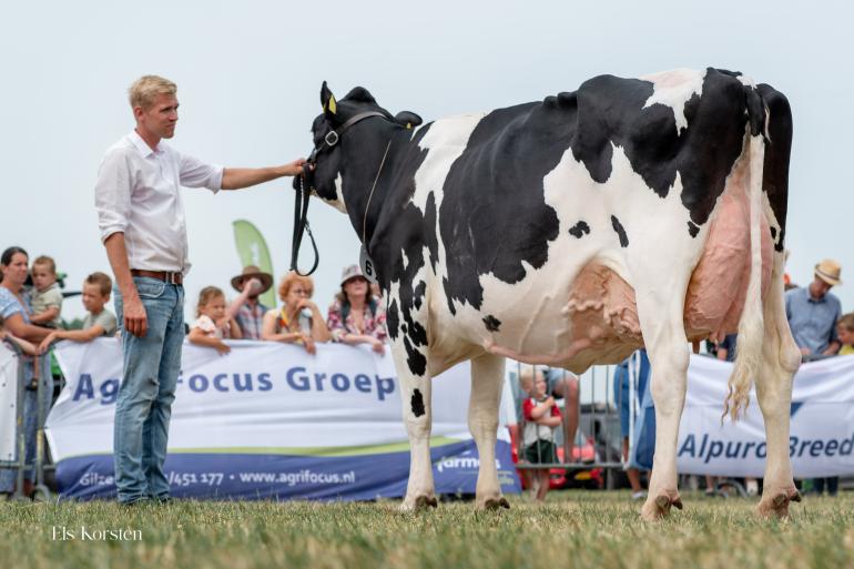 Vrij Zwanenburg 0763 (v. Ranger) wint het algemeen kampioenschap (foto: Els Korsten)