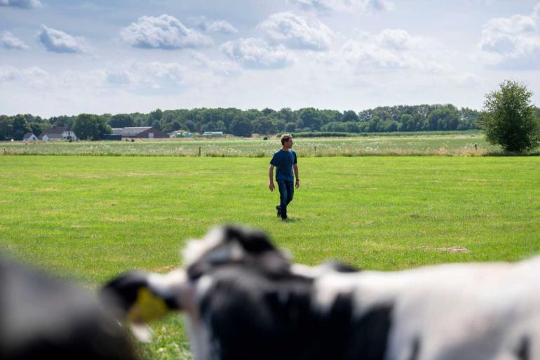 Juli is een goede maand om een uitgebreide ronde door alle percelen te maken, met extra aandacht voor de graszode