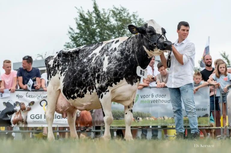 Oosterzicht Gladis produceerde al meer dan 146.000 kg melk (Foto Els Korsten)