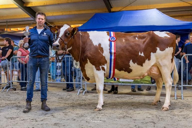 De zes keer gekalfde Strooimansgoed Theresa (v. Kimball) zegevierde net als twee jaar geleden bij roodbont (foto: Cilia Hoekman)