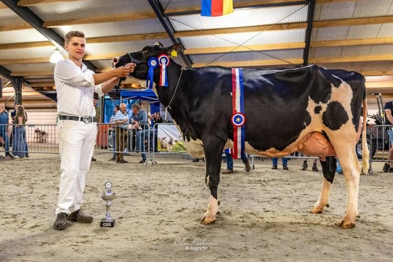 De twee keer gekalfde Lage-Bijssel Wijcornel 67 (v. Gymnast) was de sterkste bij zwartbont (foto: Cilia Hoekman)