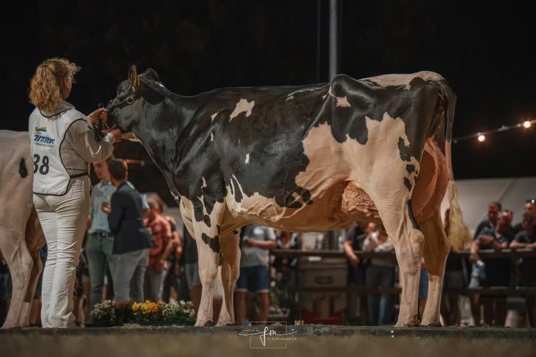 Els 3 (v. Rager) won in 2025 de eerste editie van de Dairy Fair by Night (foto: Fleur Maartje Bakker)