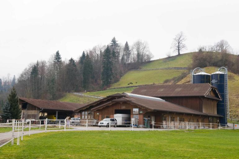 In Zwitserland is het virus intussen aangetoond bij runderen in 22 kantons (foto ter illustratie)