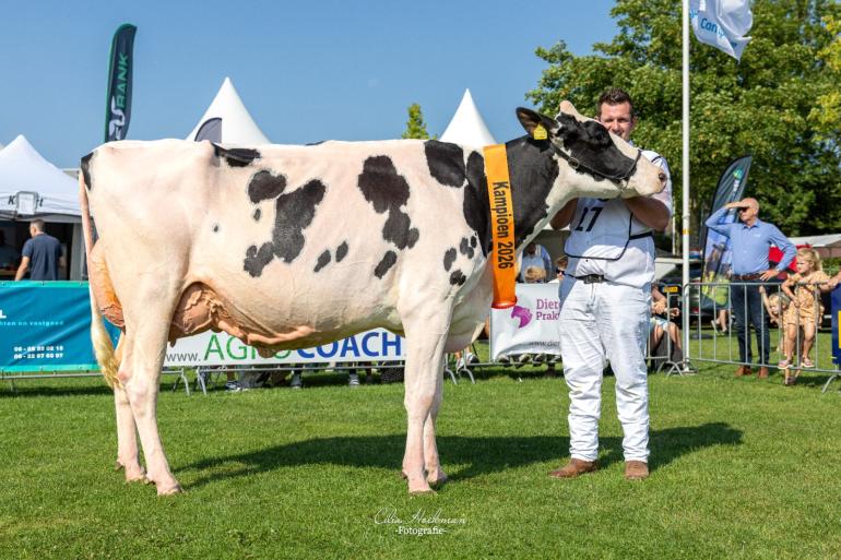 Hulapalu won zowel de titel bij de jonge koeien als het algemeen kampioenschap (foto: Cilia Hoekman)