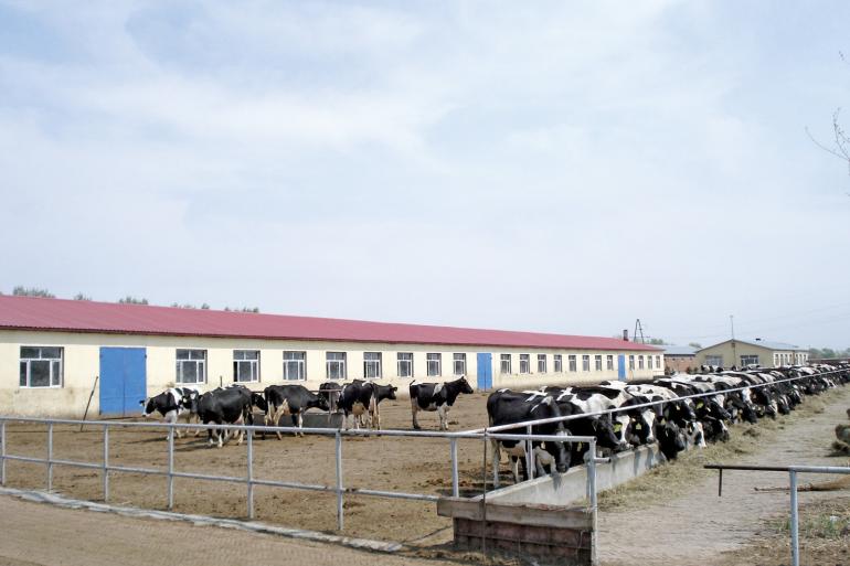 De Nederlandse aanpak van ketenbeheer werd tijdens een seminar in Peking genoemd als voorbeeld voor de verdere ontwikkeling van de Chinese voedingsmiddelenindustrie