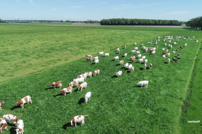 Het percentage bedrijven dat weidegang toepast ligt de laatste twee jaar onder de streefwaarde van 81,2 procent