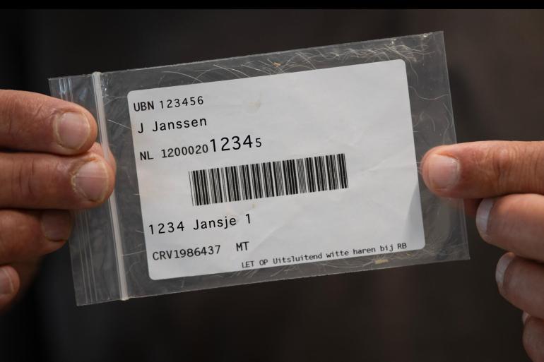 Genoomfokwaarden worden nu bepaald op basis van 70.000 verschillende merkers op het DNA