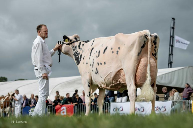 Bons-Holsteins Koba 253 (v. Solomon) wint de dagzege in Hoornaar (foto: Els Korsten)