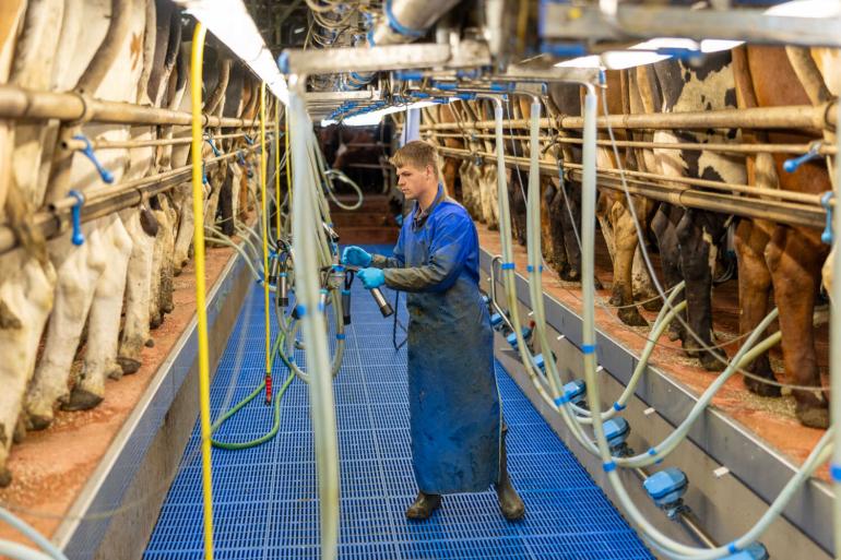 Opgeteld over het eerste half jaar nam de melkaanvoer van de 27 EU-landen met 3,5 procent toe