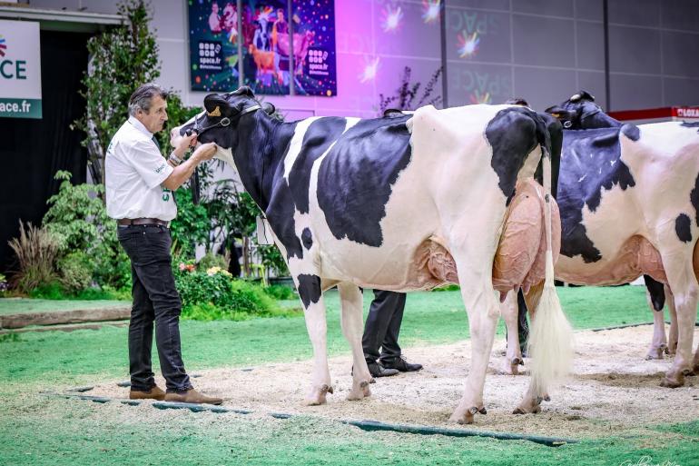 Pastèque won in Parijs zowel het algemeen kampioenschap als de titel bij de oudere koeien (foto: Guillaume Moy)