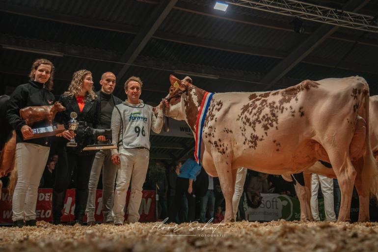 De twee keer gekalfde Gerda 235 was de sterkste roodbonte in Vriezenveen (foto: Floor Schut)