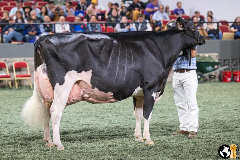 Eixdale Pwrup Alongside zegevierde in Madison (foto: Cowsmopolitan)