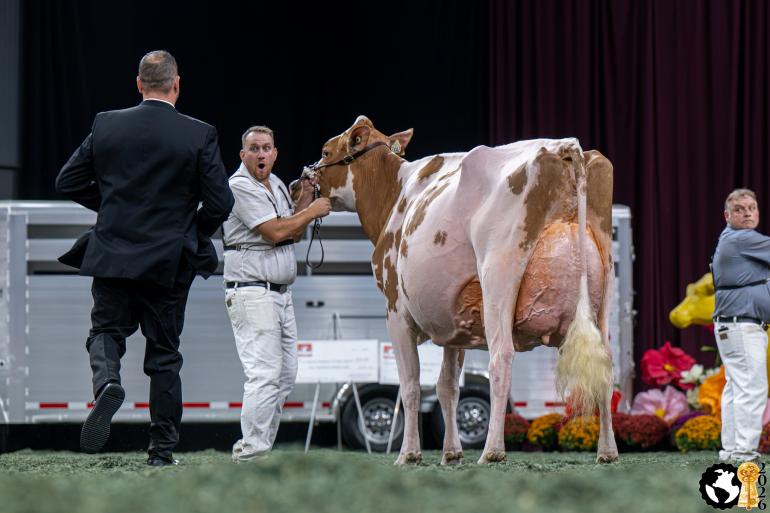 Luck-E Devour Akooza pakte de roodbonttitel in Madison (foto: Cowsmopolitan)