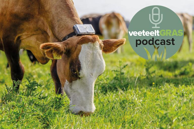 Op dit moment maken 75 bedrijven gebruik van het systeem van draadloos weiden van Collie