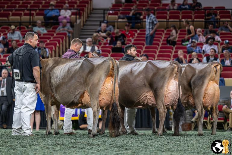 Winnares Bailey in de finale met naast haar reservekampioene Dixie (foto Cowsmopolitan)