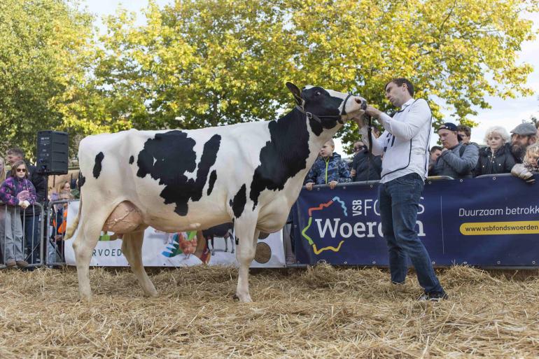 Amusedochter Ricky 5 werd door de burgemeester van Woerden tot dagkampioene aangewezen (foto: Teus van Herk)