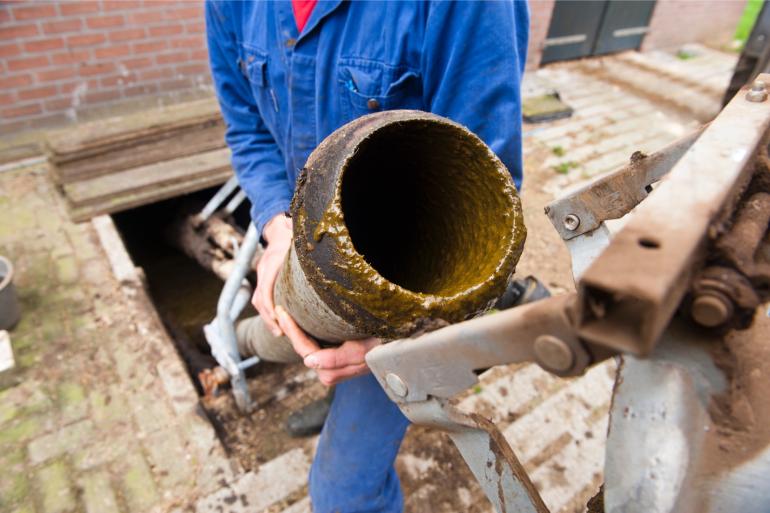 De export van rundveemest blijft een druppel op een gloeiende plaat. Van de totale stikstof- en fosfaatproductie van de Nederlandse rundveehouderij gaat minder dan een procent de grens over