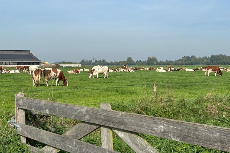 Maak er een sport van om het herfstgras te blijven benutten, tipt de Weideman