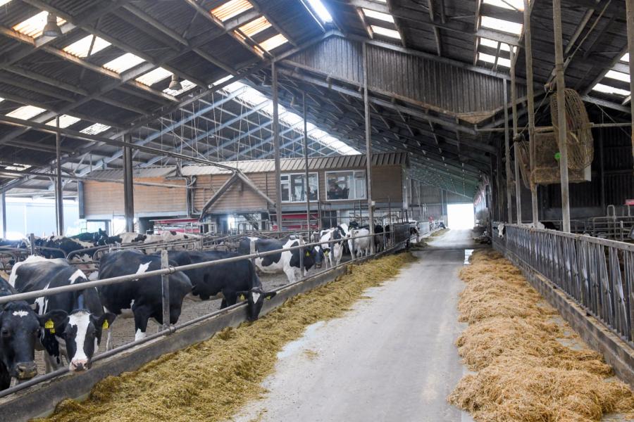 In het midden van de stal is kantoor gemaakt dat een goed overzicht geeft over de stal