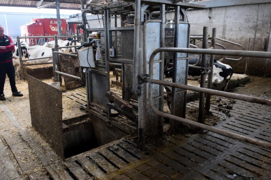 De zelfontworpen put naast de klauwbekapbox wordt gebruikt om koeien droog te zetten. Door de koeien vast te zetten in de bekapbox staan ze stil. Door lager te staan kunnen ze goed bij de uier.