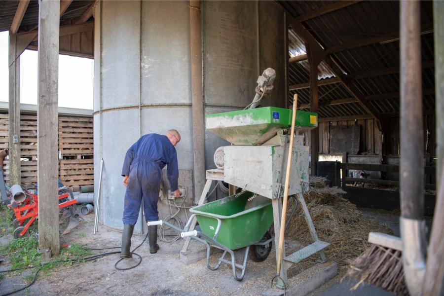 Regelmatig wordt een vers portie krachtvoer geplet. De koeien krijgen hiervan dagelijks één tot twee kilo aan het voerhek. Op dit rantsoen realiseren de koeien een rollend jaargemiddelde van circa 5300 kg melk met 4,70% vet en 3,70% eiwit