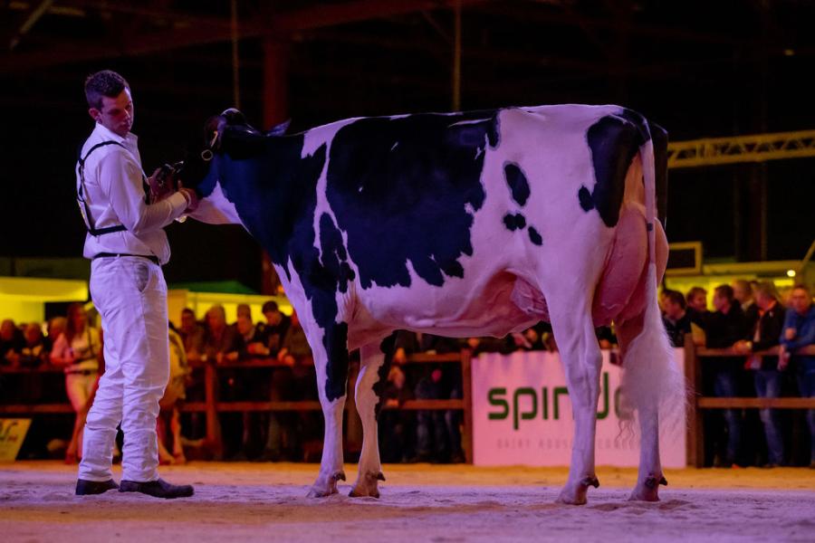 Reservekampioene zwartbont Carmen 5 (v. Dylan), M. van der Eijk, Twisk