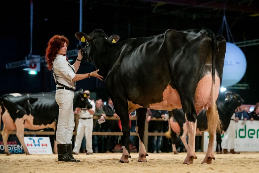 Zwartbont reservekampioene midden Bolleholster Solo Mae (v. Solomon), fam. Van der Ploeg, Warga