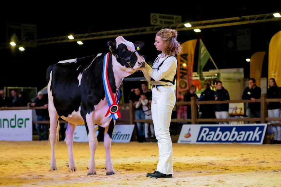 Topcross Anna 264 (v. Doorman) van mts Jacobi uit Garijp werd kampioene bij de senioren