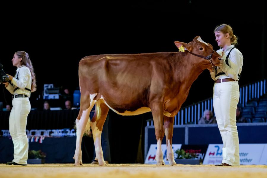 Bij de competitie showmanship won Lorena Meuleman bij de junioren